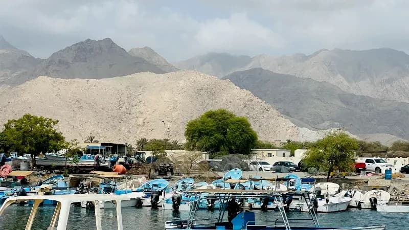 Outdoor roadside billboard advertising on Fujairah Corniche, Fujairah, UAE