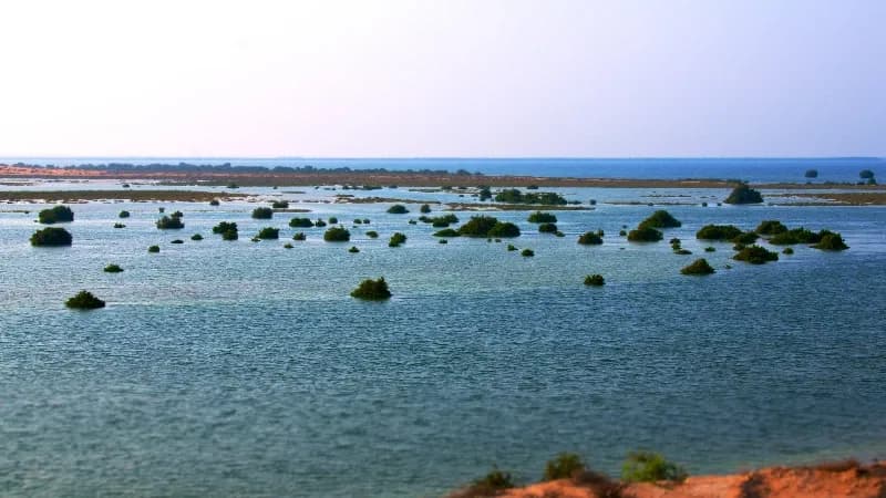 Outdoor roadside billboard advertising on Umm Al Quwain Corniche, Umm Al Quwain, UAE